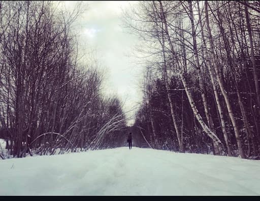 first light, 2025 — from the luminous void series